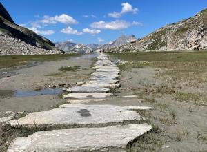 Chemin difficile 