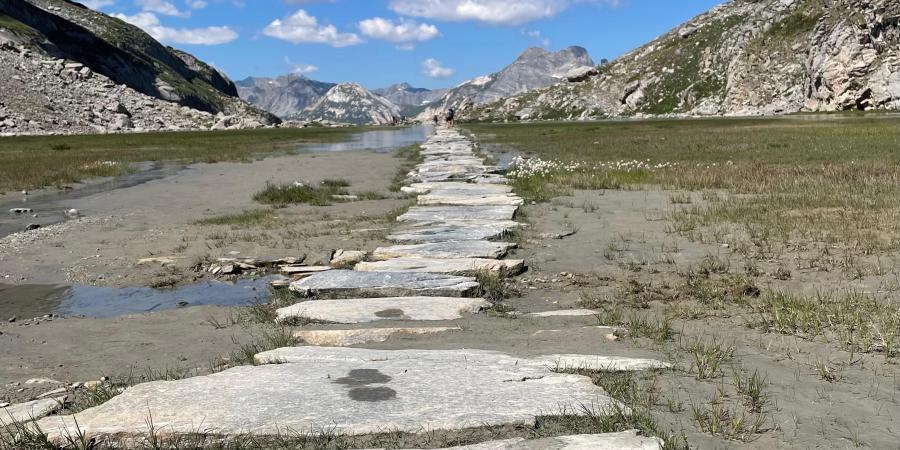 Chemin difficile 