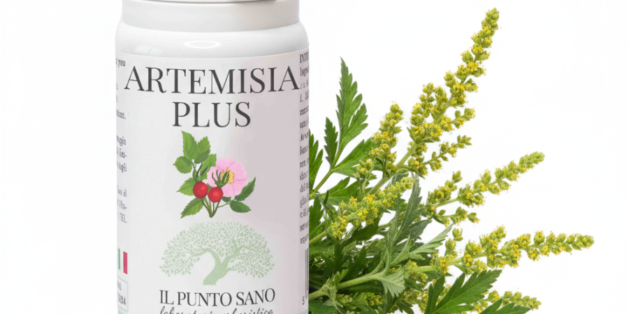 Artemisia